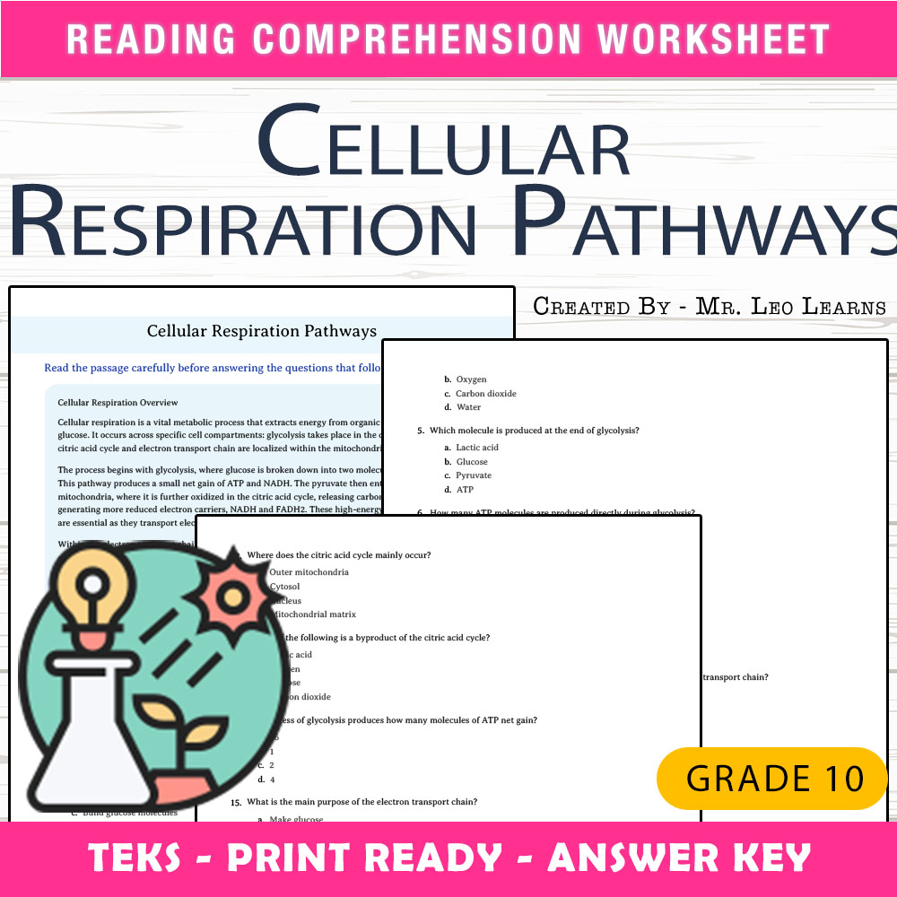 Grade 10 Science worksheet worksheet — Grade 10 Science — Cellular Respiration Pathways Worksheet for Mastery — page 1