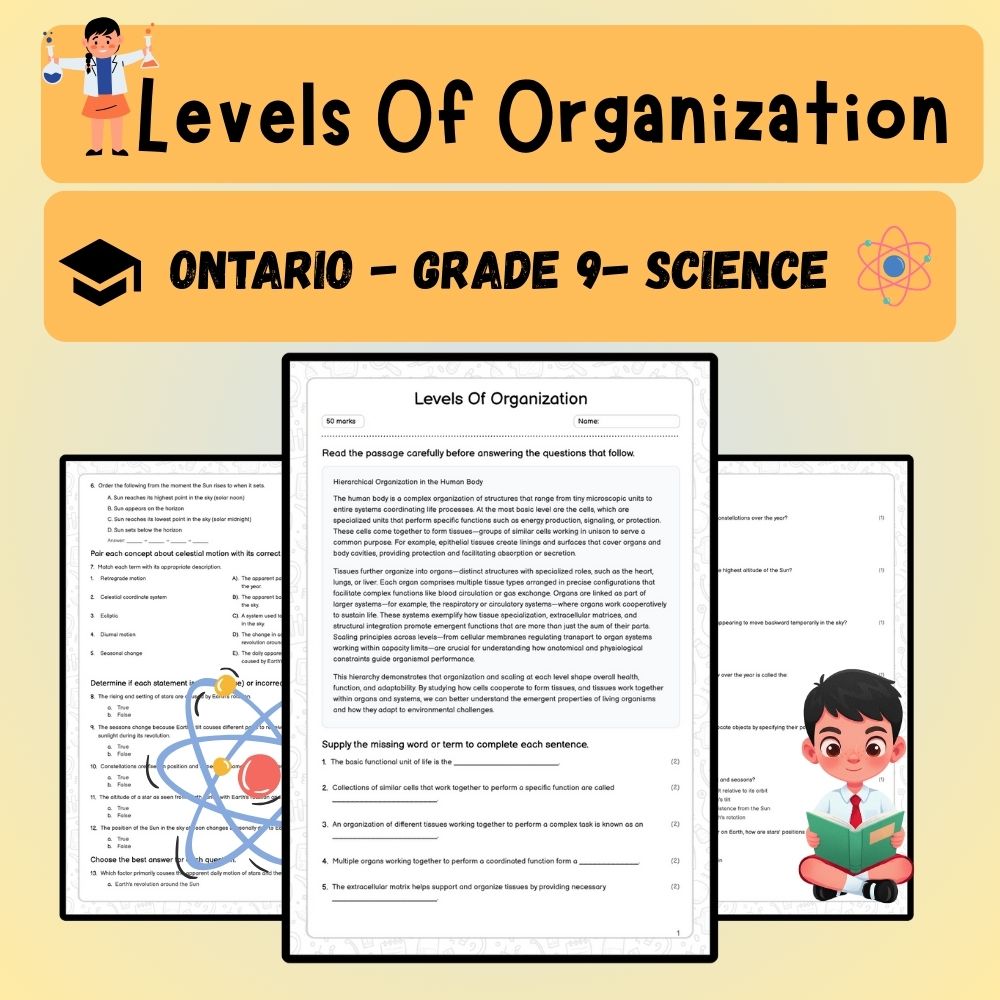 Grade 9 Science worksheet worksheet — Grade 9 Science | Levels Of Organization Worksheet (PDF) Aligned with Ontario Standa…