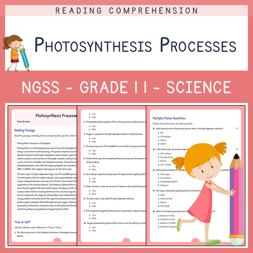 Grade 11 Science worksheet worksheet — Grade 11 Science | Photosynthesis Processes Worksheet & Answer Key (PDF) — page 1