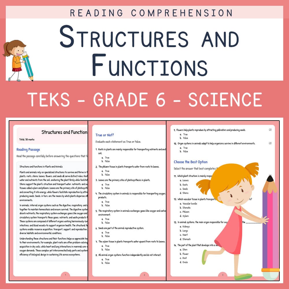 Grade 6 Science worksheet elena worksheet — Grade 6 Science | Structures and Functions Worksheet | TEKS Standards — page 1