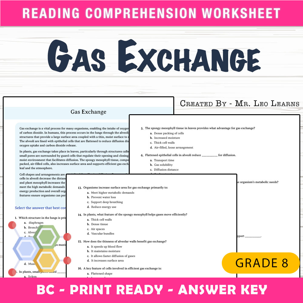 Grade 8 Science worksheet mcq paper worksheet — Grade 8 Science — Gas Exchange Worksheet MCQ Paper for Mastery — page 1