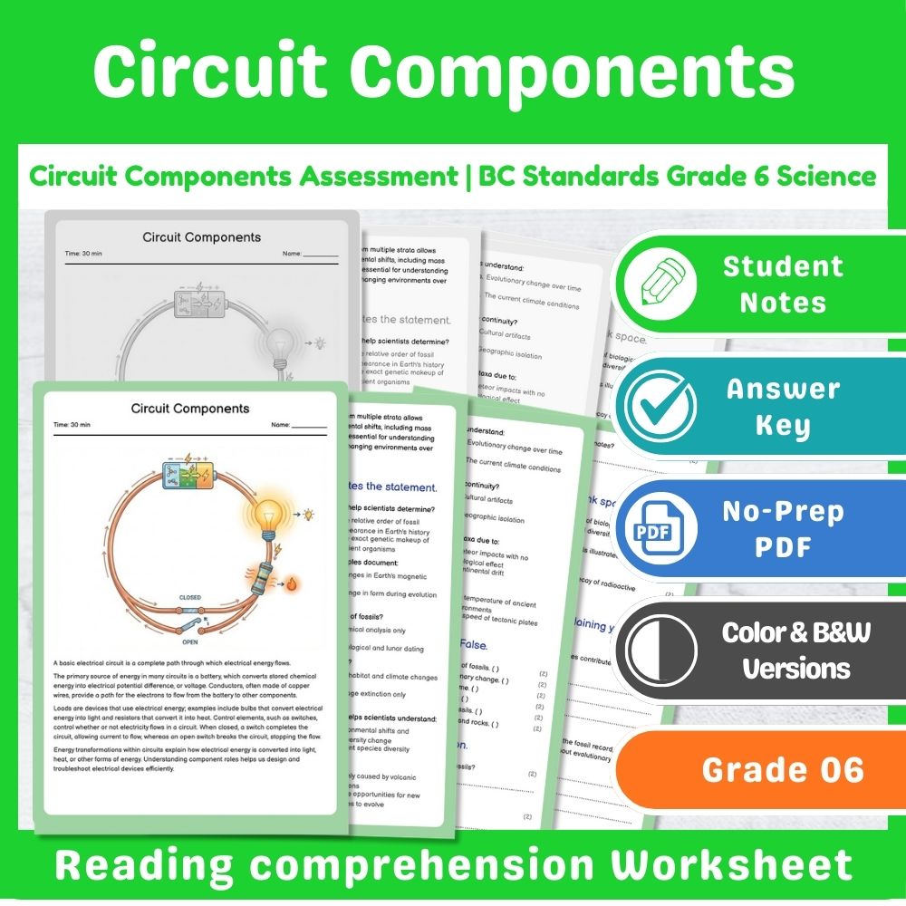 Grade 6 Science Assessment | Wave Interactions & Light Physics Mini Bundle — included worksheet 8