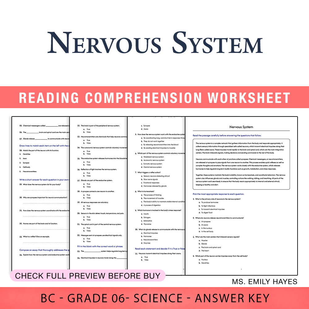 Grade 6 Science worksheet worksheet — 6th Grade Science | Nervous System Worksheet (PDF+ Answer Key) — page 1