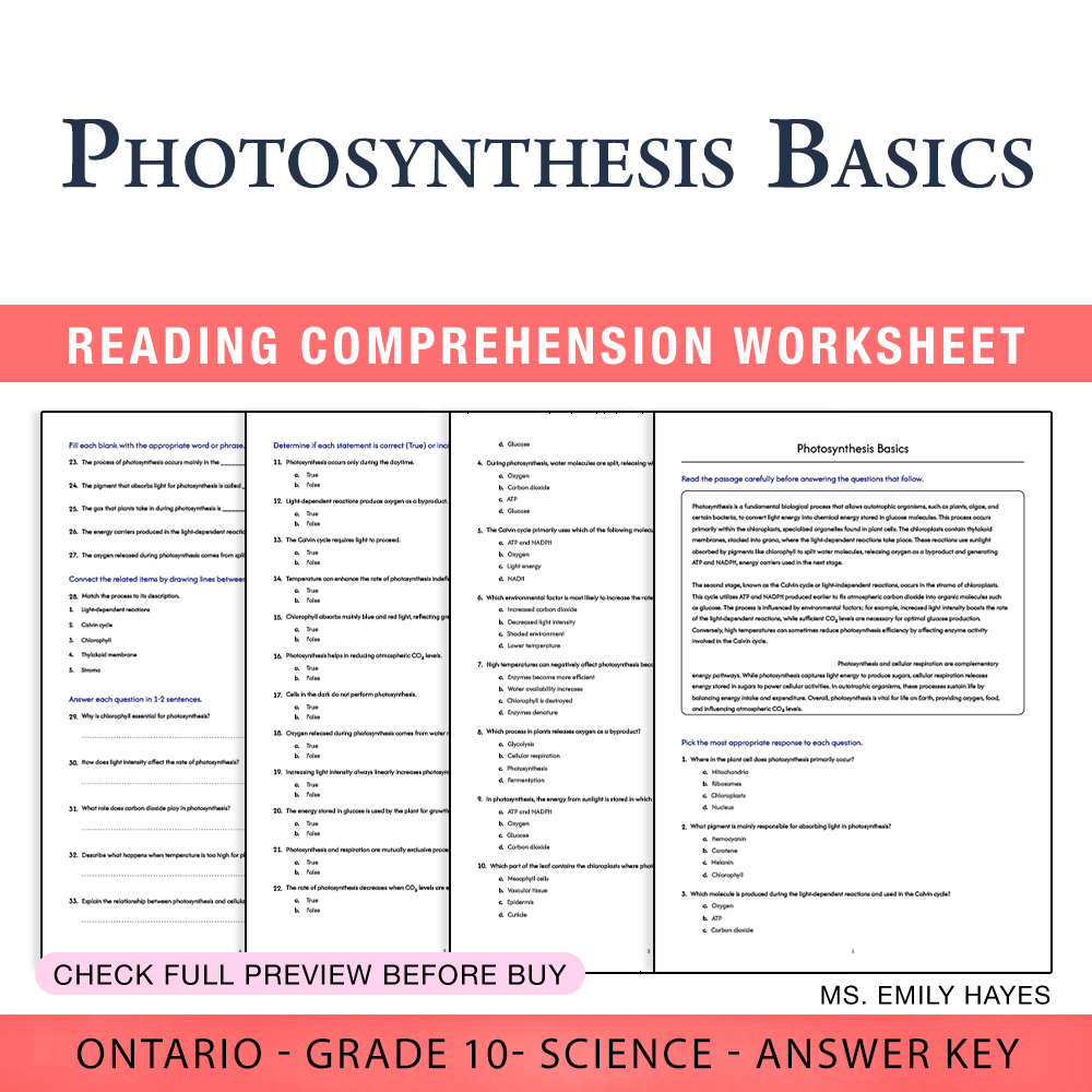 Grade 10 Science worksheet worksheet — 10th Grade Science | Photosynthesis Basics Worksheet (PDF + Answer Key) — page 1