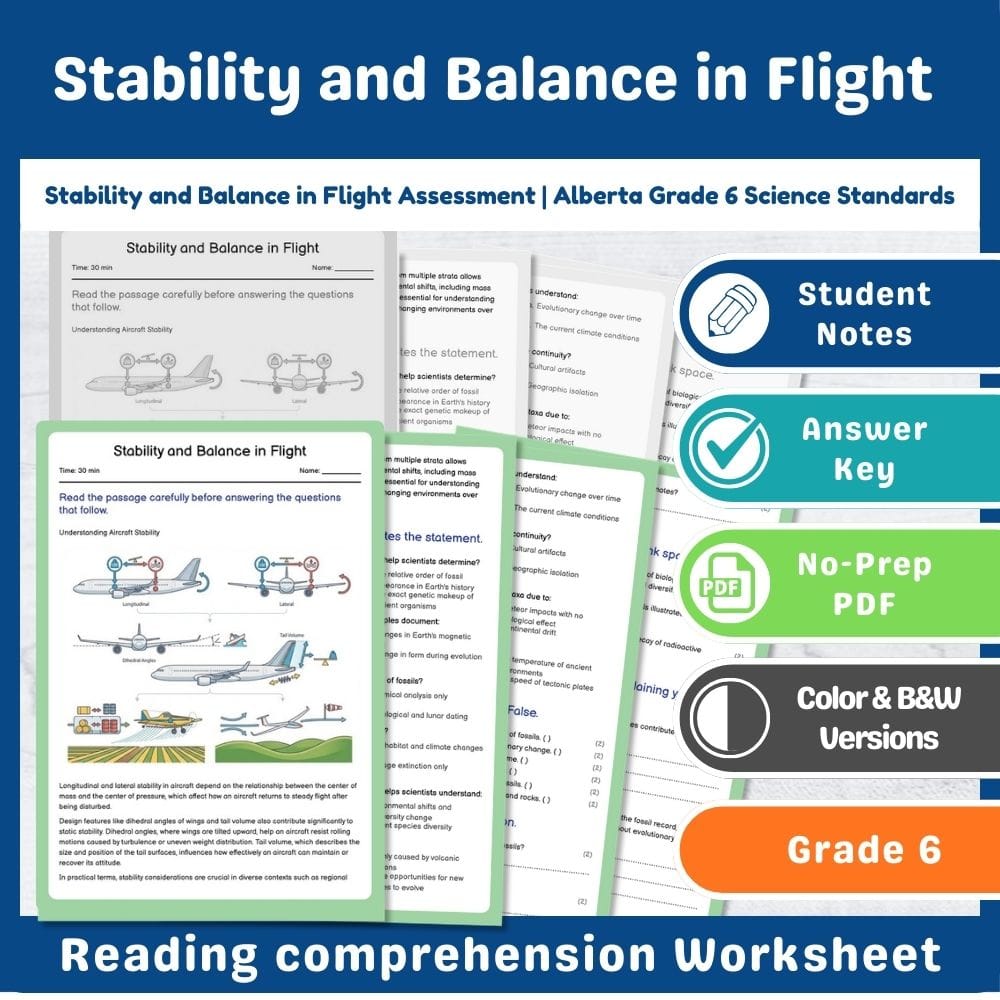 Grade 6 Science assessment worksheet — Stability and Balance in Flight Assessment | Alberta Grade 6 Science Standards — pa…