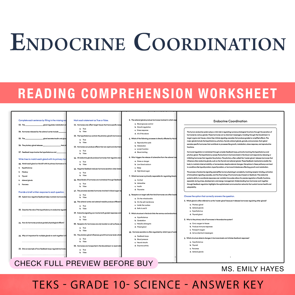 Grade 10 Science worksheet worksheet — Grade 10 Science | Endocrine Coordination Worksheet (PDF+ Answer Key) — page 1