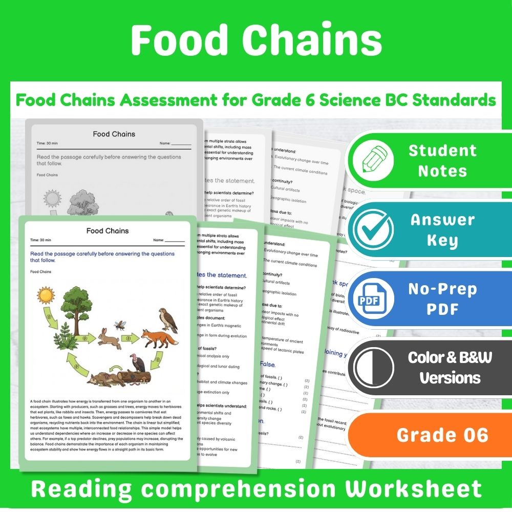 Grade 6 Science – Ecosystems Assessment & Ecology Lesson Bundle | Standards-Aligned — included worksheet 11