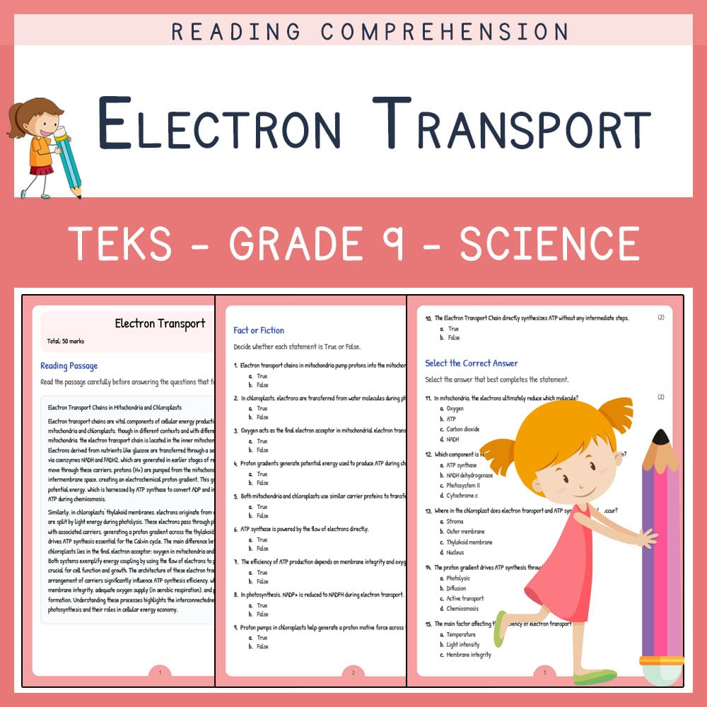 Grade 9 Science worksheet elena worksheet — Grade 9 Science | Electron Transport Worksheet | TEKS Aligned — page 1