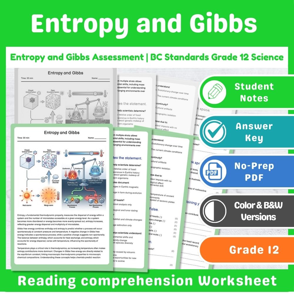 Grade 12 Science Mini Bundle – Thermochemistry & Equilibrium Assessment — included worksheet 9