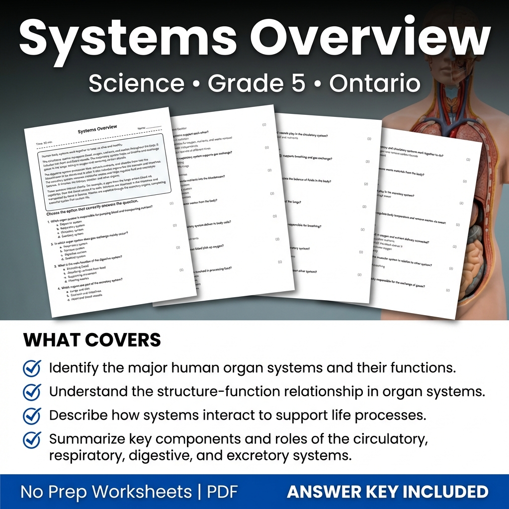 Grade 5 Science Worksheet Systems Overview | Ontario Standards