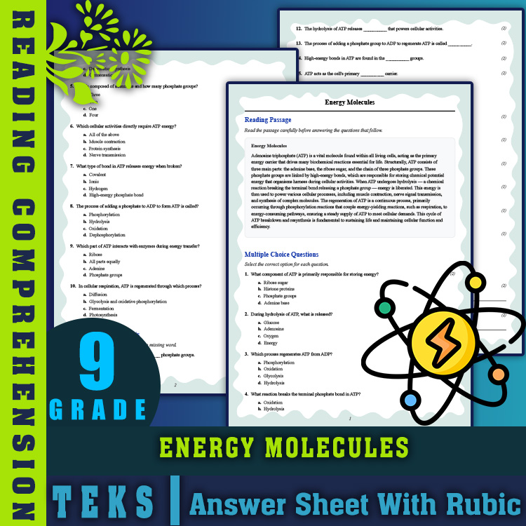 Grade 9 Science reading worksheets worksheet — 9th Grade Science | Energy Molecules Reading Worksheet & Answer Key (PDF) —…