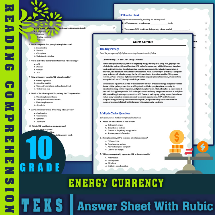 Grade 10 Science reading worksheets worksheet — Grade 10 Science | Energy Currency Reading Worksheets (PDF + Answer Key) —…