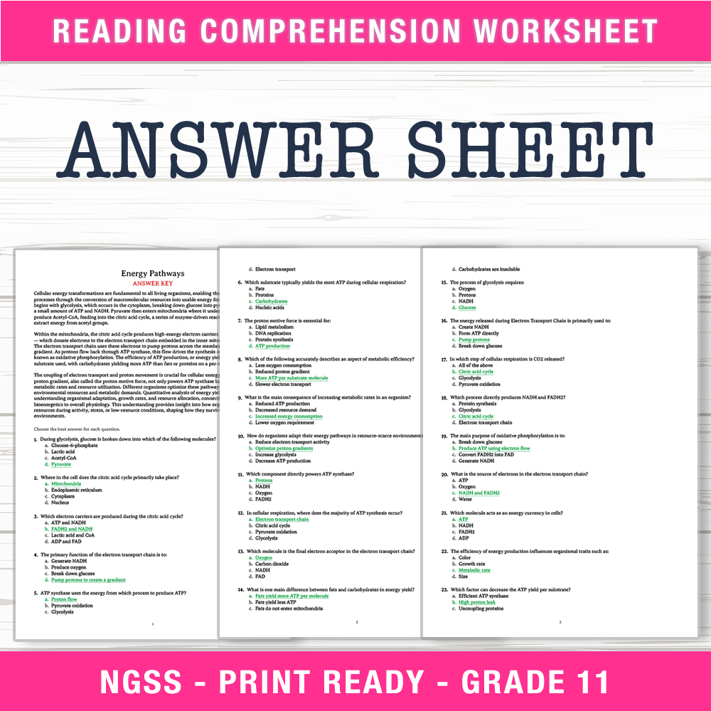 Grade 11 Science worksheet worksheet — Grade 11 Science | Energy Pathways Worksheet (PDF + Answer Key) — page 2