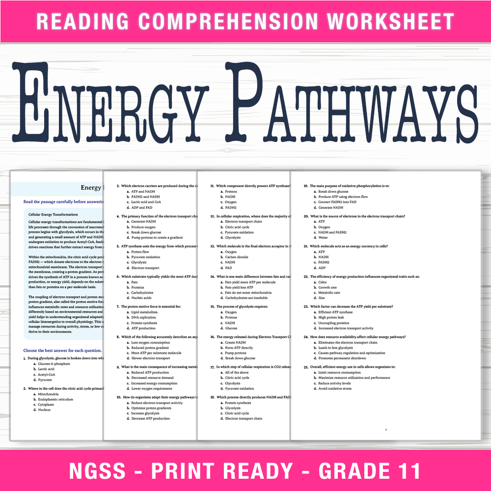Grade 11 Science worksheet worksheet — Grade 11 Science | Energy Pathways Worksheet (PDF + Answer Key) — page 1