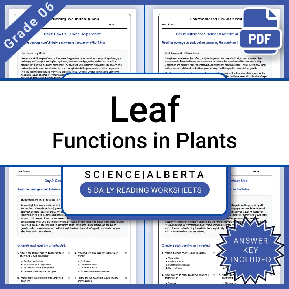 Grade 6 Science Full Year Bundle | Weather, Ecosystems, Flight & Space — included worksheet 38
