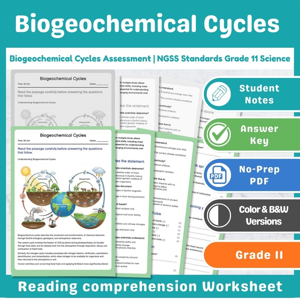 Grade 11 Science Mini Bundle | Ecosystems Interactions & Energy NGSS — included worksheet 4