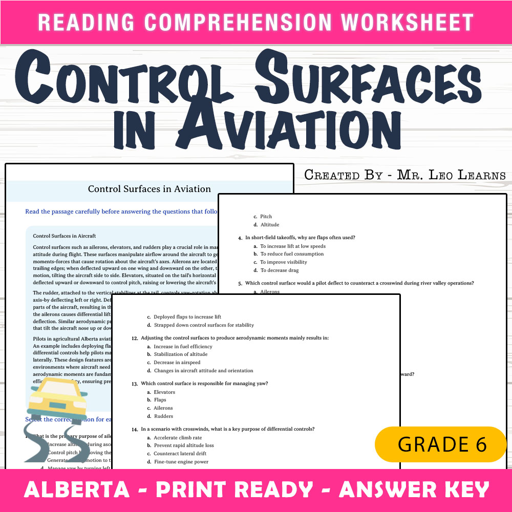 Grade 6 Science worksheet mcq paper worksheet — Grade 6 Science — Control Surfaces in Aviation Worksheet MCQ Paper — page 1