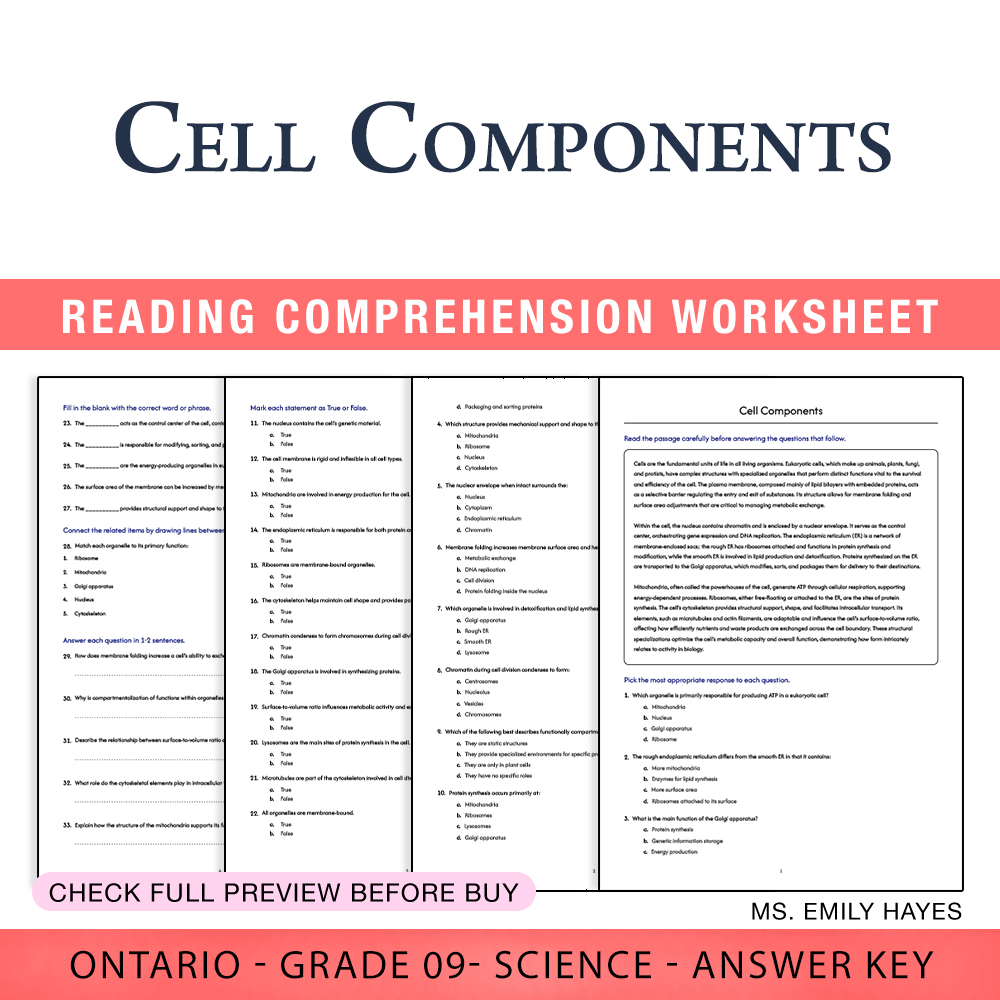Grade 9 Science worksheet worksheet — 9th Grade Science | Cell Components Worksheet (PDF + Answer Key) — page 1