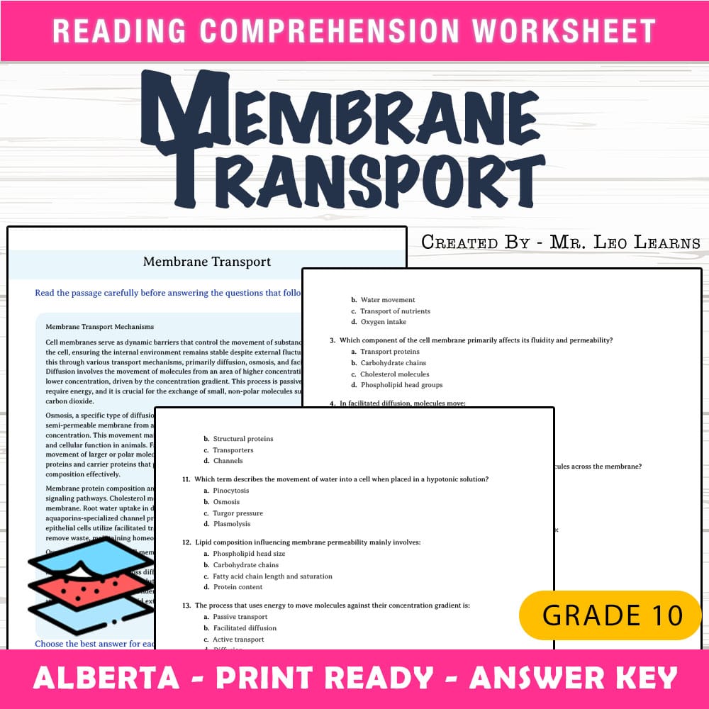 Grade 10 Science worksheet mcq paper worksheet — Grade 10 Science — Membrane Transport Worksheet MCQ Paper — page 1