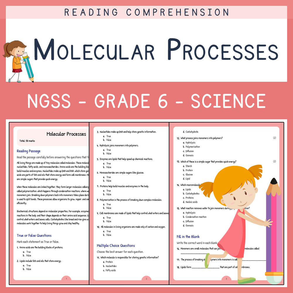 Grade 6 Science worksheets for primary grades worksheet — Grade 6 Science | Molecular Processes Worksheet (PDF) | NGSS Ali…