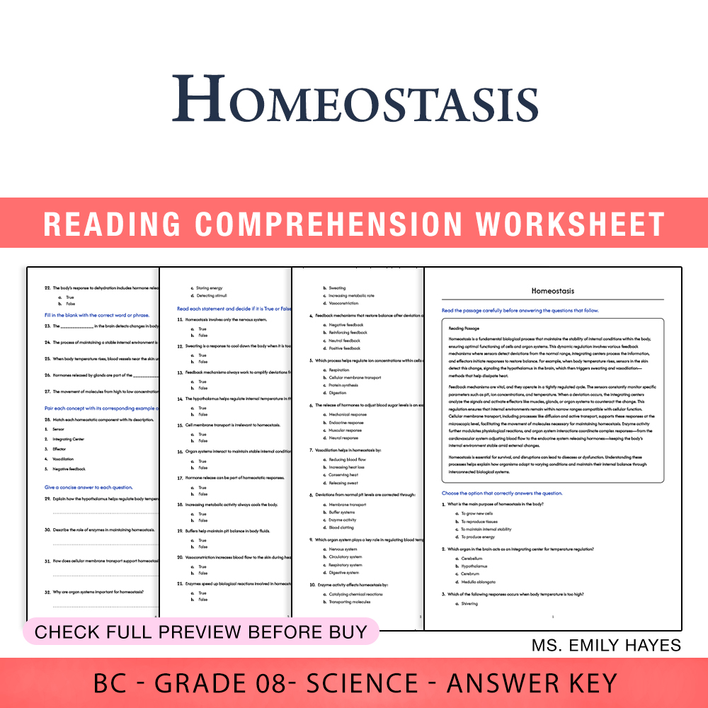 Grade 8 Science worksheet worksheet — Grade 8 Science | Homeostasis Worksheet (PDF+ Answer Key) — page 1