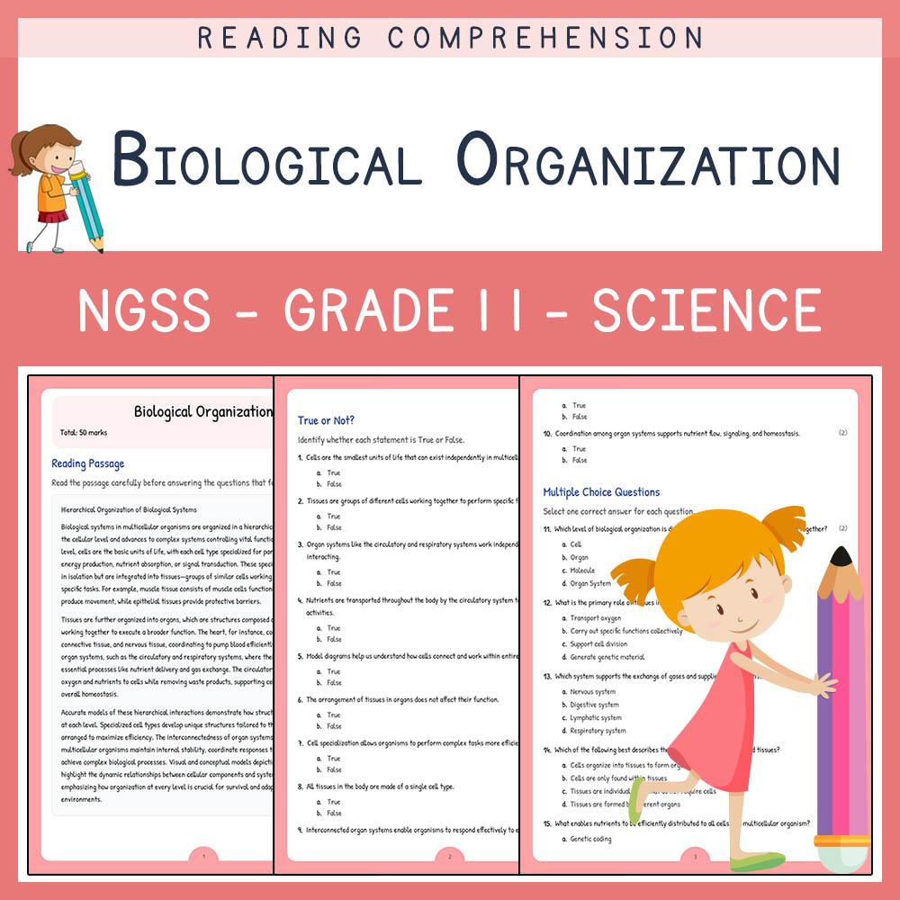 Grade 11 Science worksheet worksheet — Grade 11 Science | Biological Organization Worksheet with Answer Key (PDF) — page 1