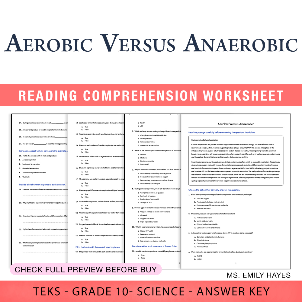 Grade 10 Science worksheet worksheet — 10th Grade Science |Aerobic vs Anaerobic Respiration Worksheet (PDF+ Answer Key) —…