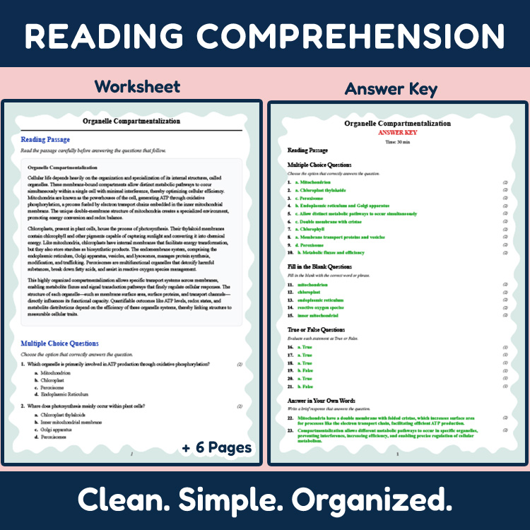 Grade 12 Science reading worksheets worksheet — Grade 12 Science | Organelle Compartmentalization Reading Worksheet + Answ…