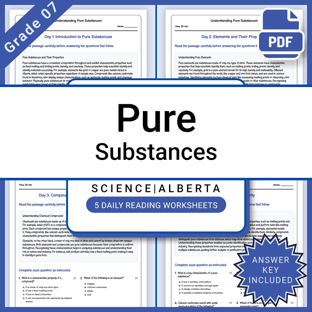Grade 7 Science Full Year Curriculum Bundle | Structural Engineering & Energy — included worksheet 32