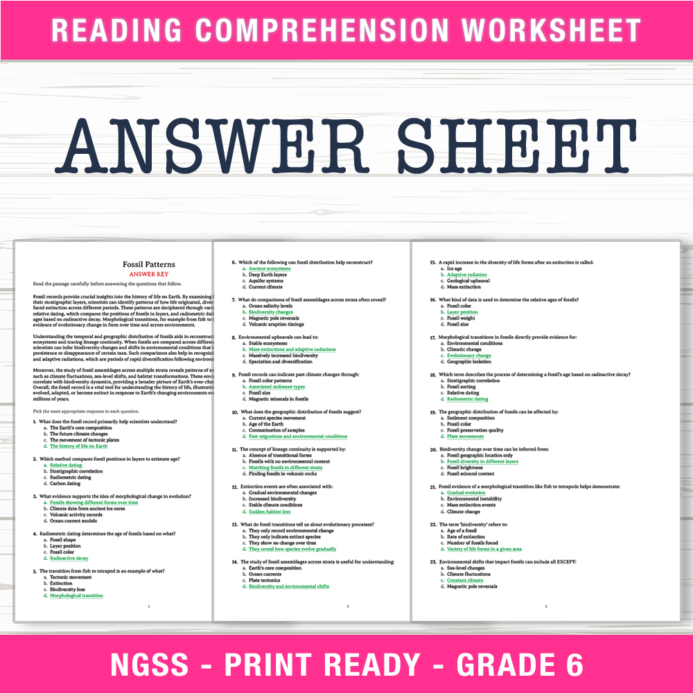 Grade 6 Science worksheet worksheet — 6th Grade Science | Fossil Patterns Worksheet (PDF + Answer Key) — page 2