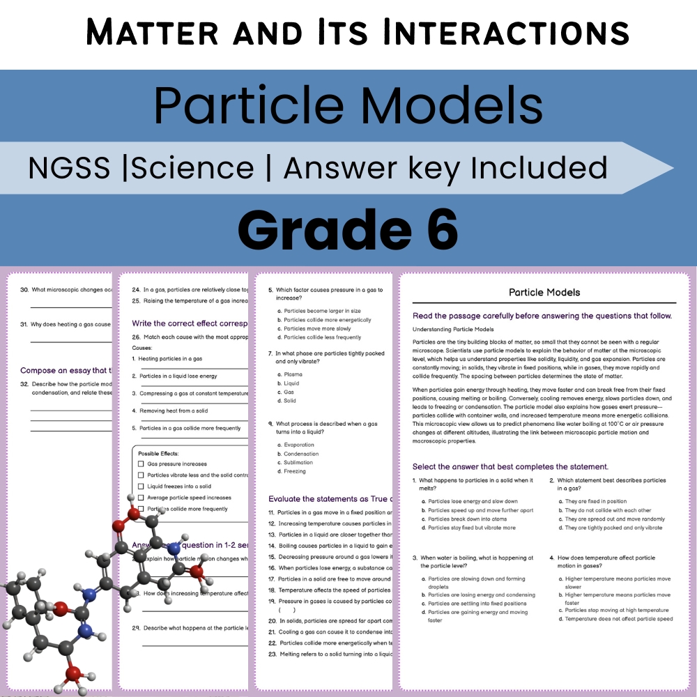 Grade 6 Science NGSS Worksheet Bundle | Comprehensive STEM Practice Pack — included worksheet 33