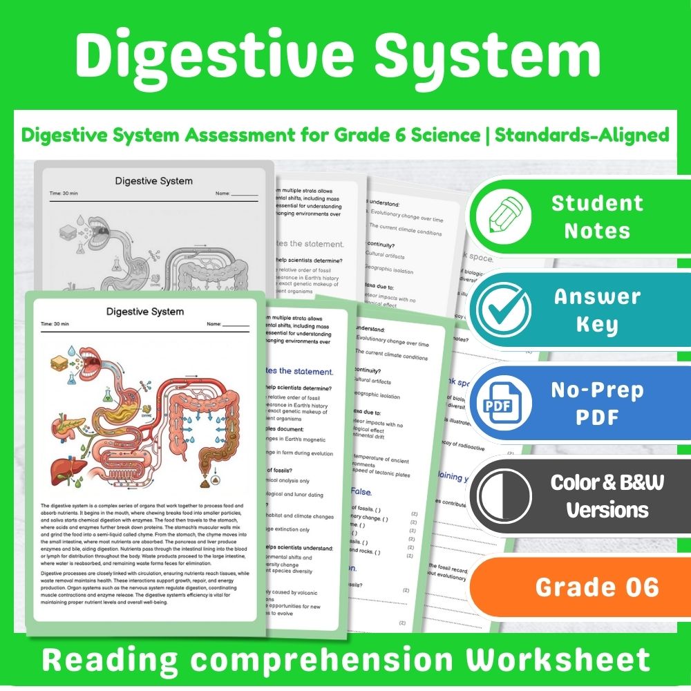 Grade 6 Science | Cell Structures & Systems Assessment – Standards-Aligned — included worksheet 8