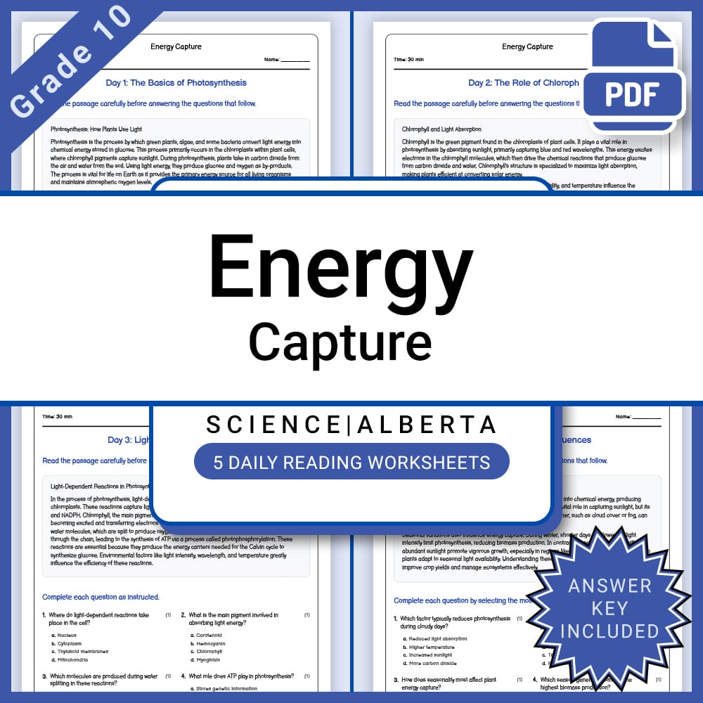Grade 10 Science Lesson Group | Energy and Electricity Alberta Framework — included worksheet 14