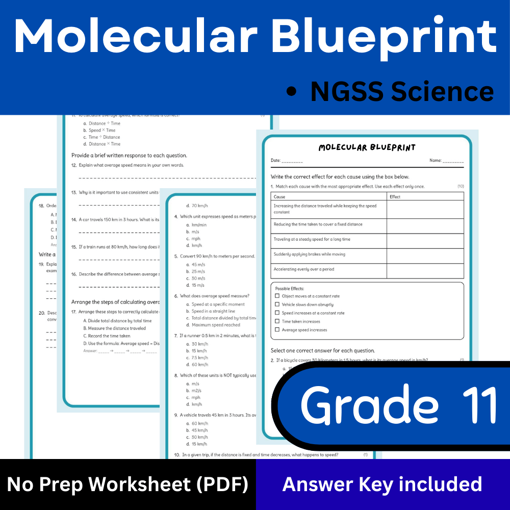 Grade 11 Science science 1 worksheet — Grade 11 Science | Molecular Blueprint Worksheet (Answer Key) – NGSS-Aligned
