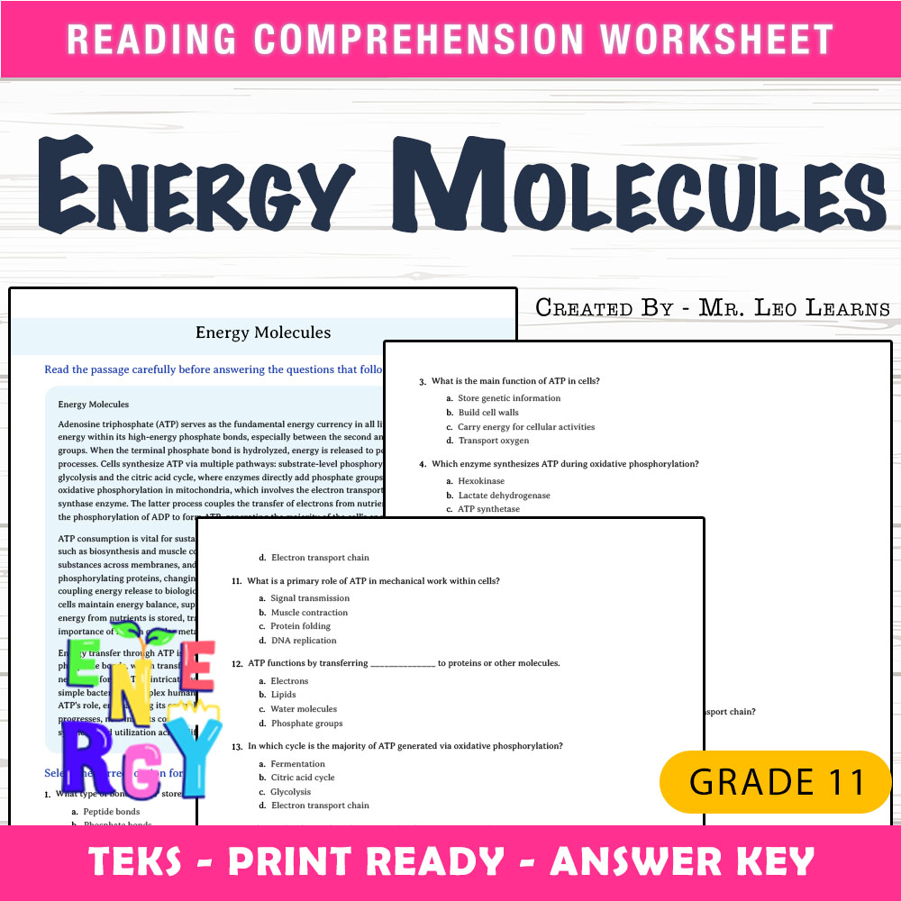 Grade 11 Science worksheet worksheet — Grade 11 Science – Energy Molecules Worksheet for Mastery — page 1