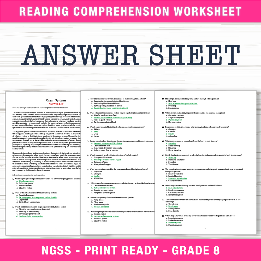 Grade 8 Science worksheet worksheet — Grade 8 Science | Organ Systems Worksheet (PDF + Answer Key) — page 2
