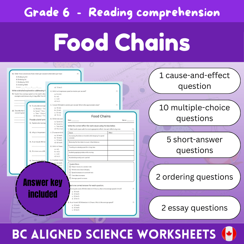 Grade 6 Science | Food Chains Worksheet (Worksheet + Answer Key) – BC Standard