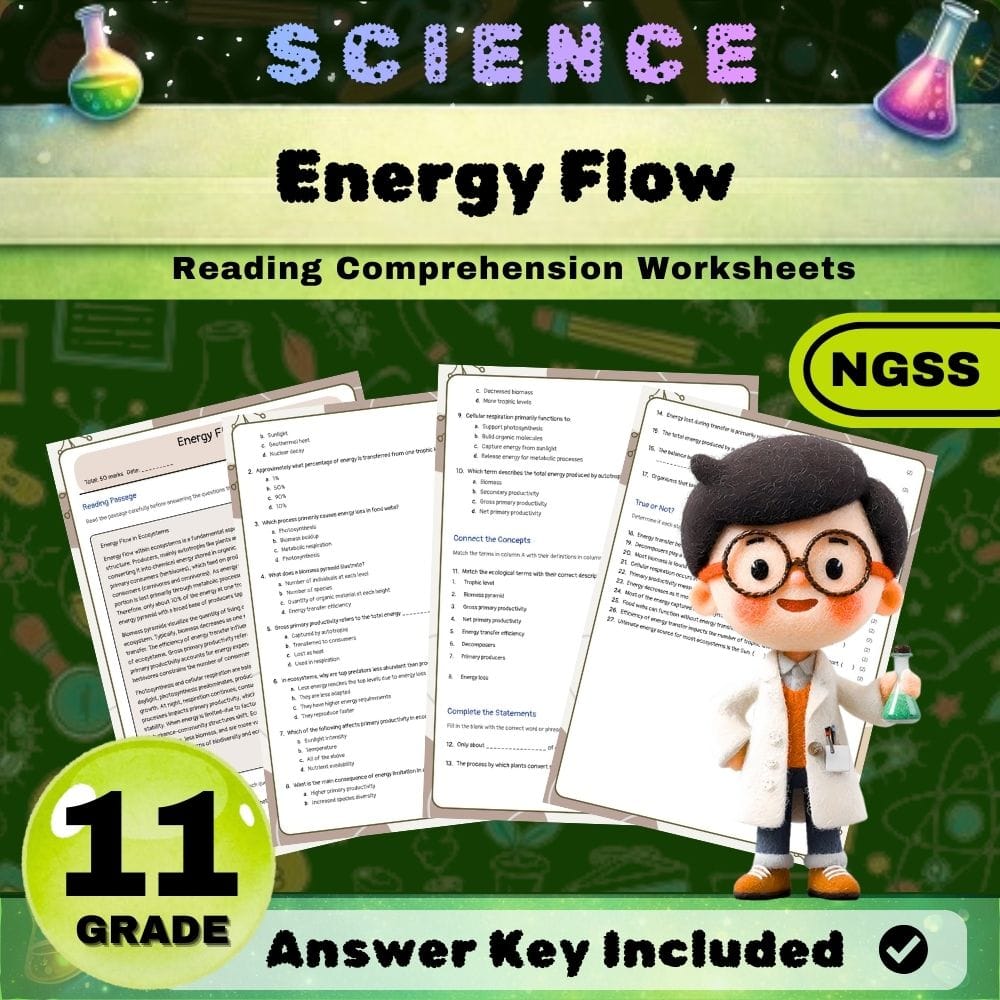 Grade 11 Ecosystem Dynamics and Energy Flow Science Lesson Bundle | NGSS — included worksheet 4