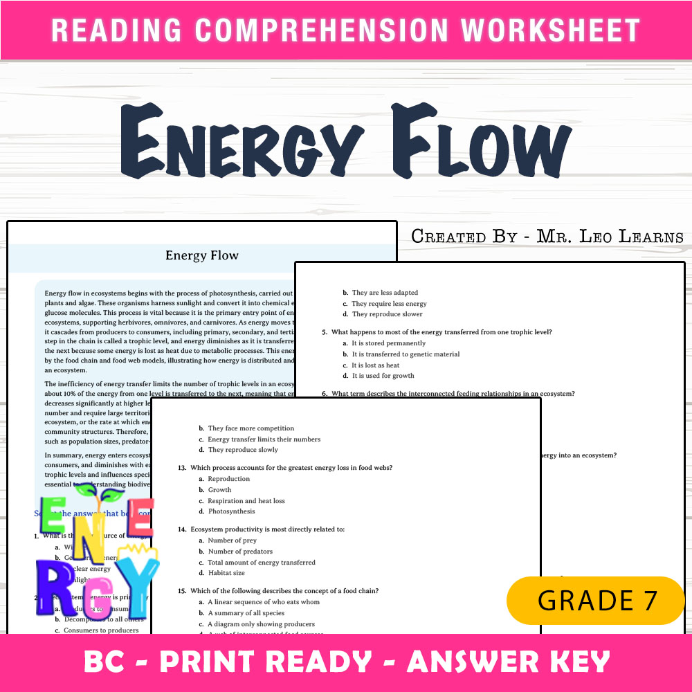 Grade 8 Science worksheet mcq paper worksheet — Grade 8 Science — Worksheet MCQ Paper for Mastering Energy Flow — page 1