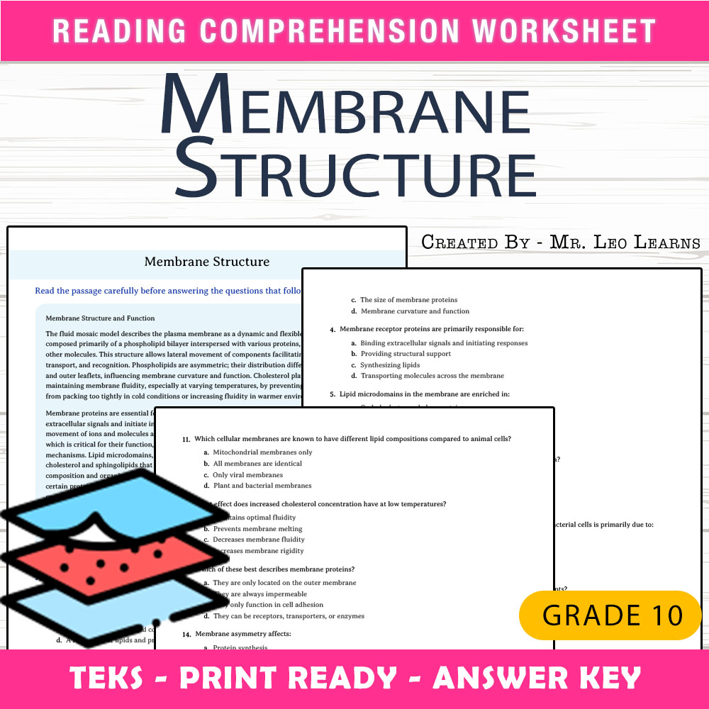 Grade 10 Science worksheet worksheet — Grade 10 Science | Membrane Structure Worksheet for Mastery — page 1