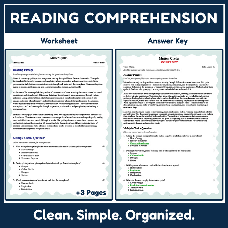 Grade 8 Science reading worksheets worksheet — Grade 8 Science | Matter Cycles Reading Worksheet (PDF + Answer Key) — page 2