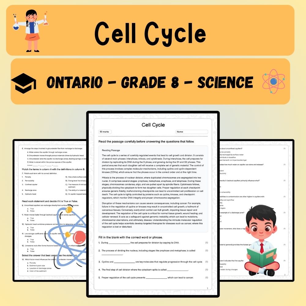 Grade 8 Science worksheet worksheet — Grade 8 Science | Cell Cycle Worksheet (PDF ) – Ontario Standards — page 1