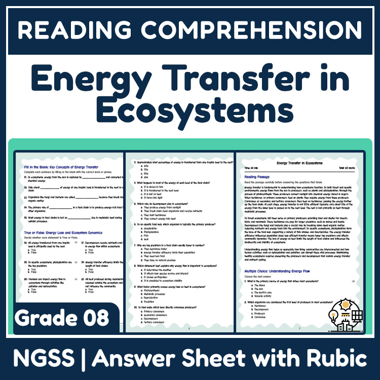 Grade 8 Science reading worksheets worksheet — 8th Grade Science | Energy Transfer in Ecosystems Reading Worksheet (Answer…