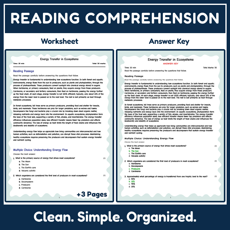 Grade 8 Science reading worksheets worksheet — 8th Grade Science | Energy Transfer in Ecosystems Reading Worksheet (Answer…
