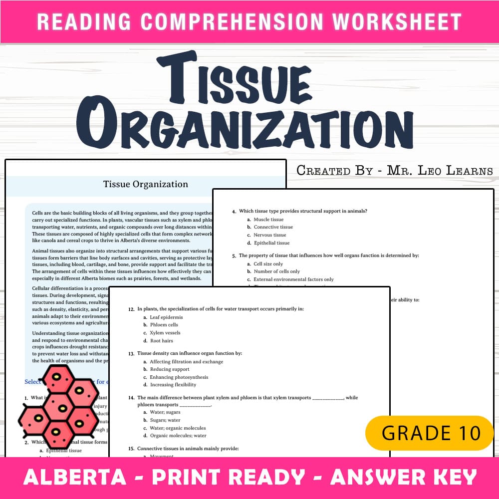 Grade 10 Science worksheet mcq paper worksheet — Grade 10 Science — Tissue Organization Worksheet MCQ Paper for Mastery —…