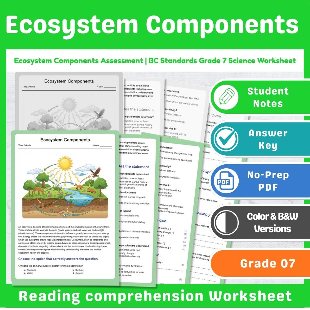 Ecosystem Components Assessment | BC Standards Grade 7 Science Worksheet