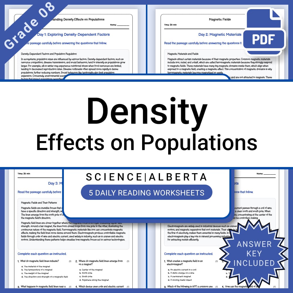 Grade 8 Science Lesson Bundle | Ecosystems, Energy, and Environmental Impact — included worksheet 11