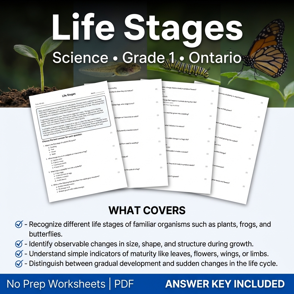 Life Stages Science Worksheet | Grade 1 | Ontario Standard