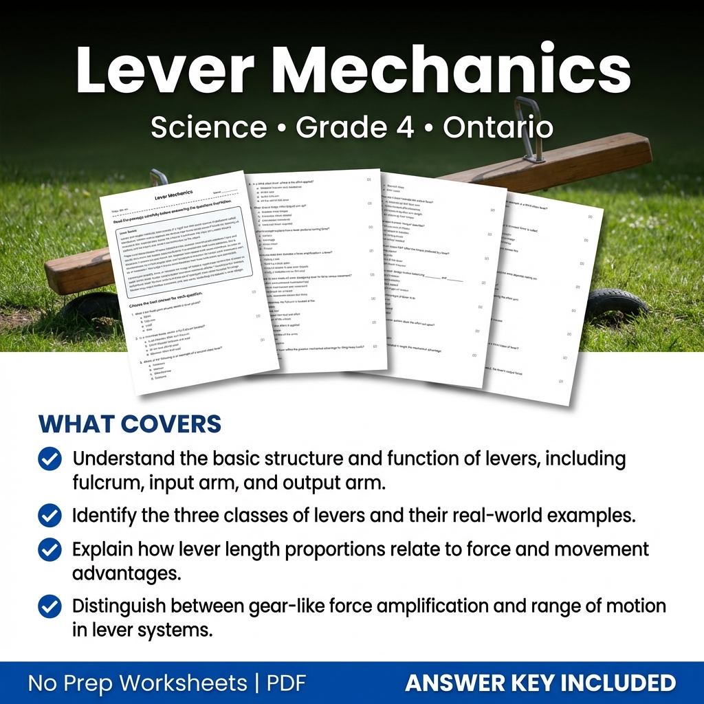 Grade 4 Science Worksheet on Lever Mechanics – Printable Practice