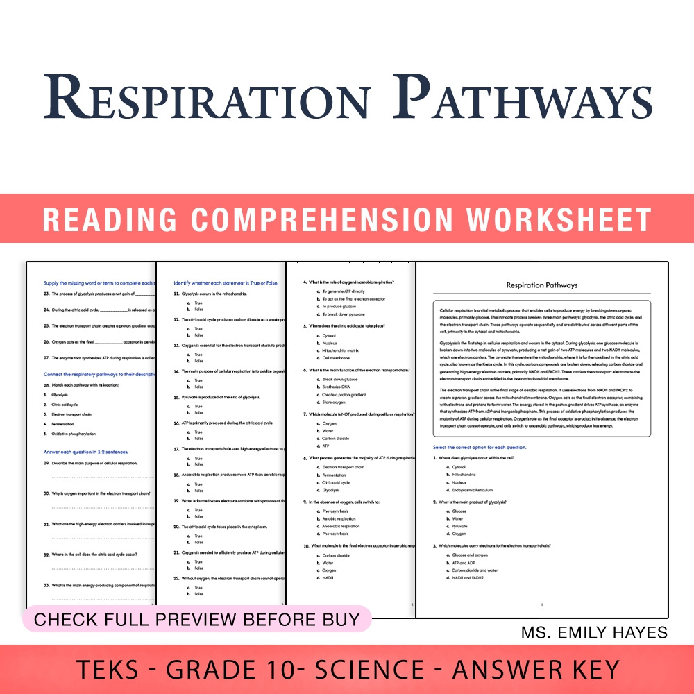 Grade 10 Science worksheet worksheet — 10th Grade Science | Respiration Pathways Worksheet (PDF+ Answer Key) — page 1